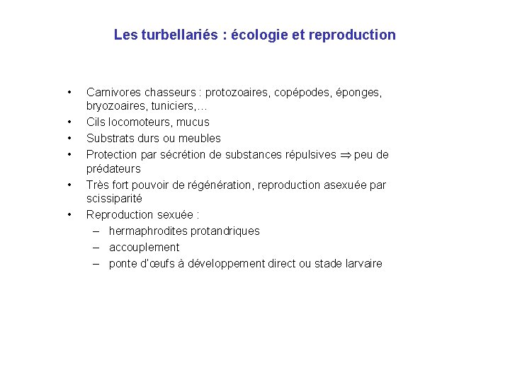 Les turbellariés : écologie et reproduction • • • Carnivores chasseurs : protozoaires, copépodes,