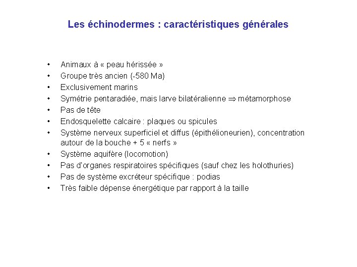 Les échinodermes : caractéristiques générales • • • Animaux à « peau hérissée »