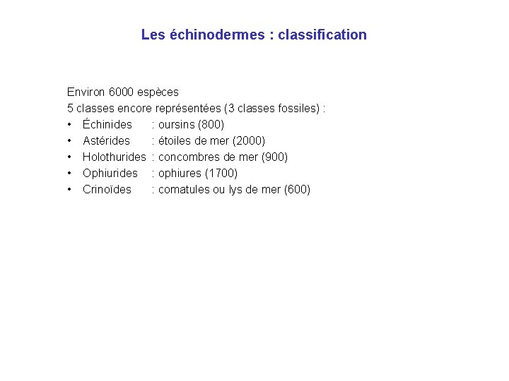 Les échinodermes : classification Environ 6000 espèces 5 classes encore représentées (3 classes fossiles)