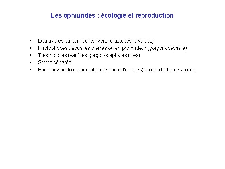 Les ophiurides : écologie et reproduction • • • Détritivores ou carnivores (vers, crustacés,