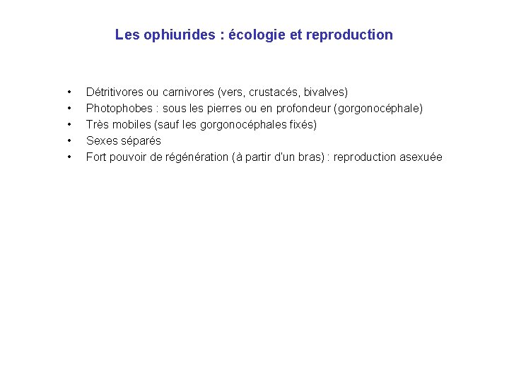 Les ophiurides : écologie et reproduction • • • Détritivores ou carnivores (vers, crustacés, Les ophiurides : écologie et reproduction • • • Détritivores ou carnivores (vers, crustacés,