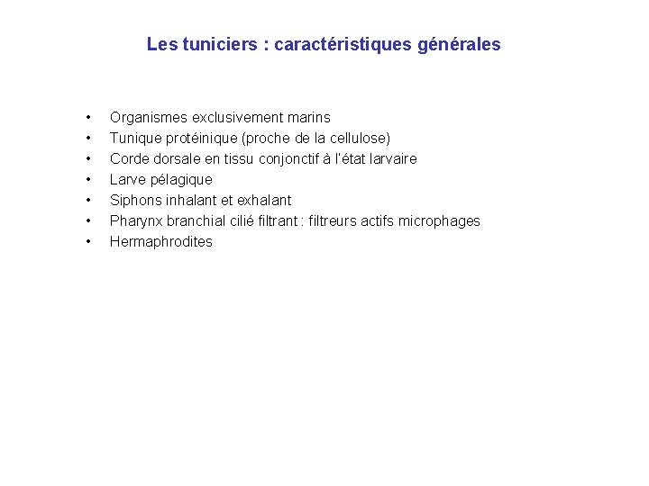Les tuniciers : caractéristiques générales • • Organismes exclusivement marins Tunique protéinique (proche de