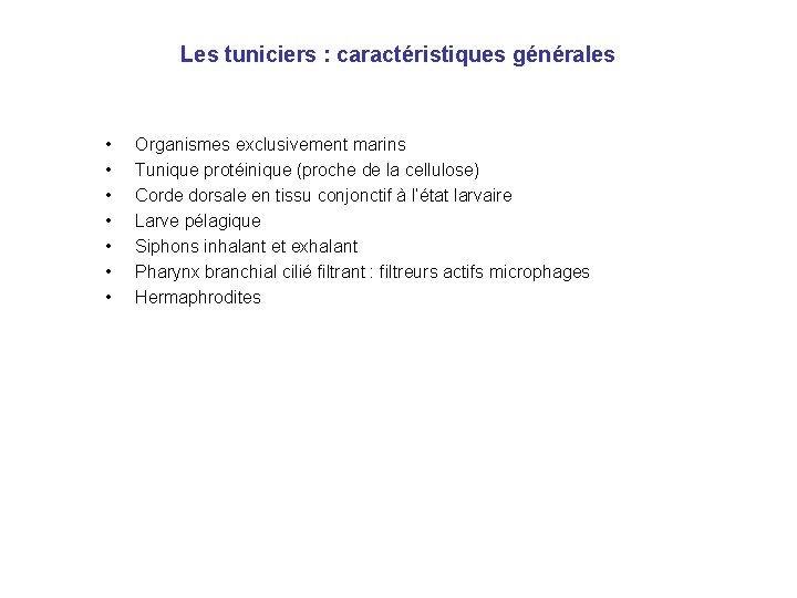 Les tuniciers : caractéristiques générales • • Organismes exclusivement marins Tunique protéinique (proche de Les tuniciers : caractéristiques générales • • Organismes exclusivement marins Tunique protéinique (proche de