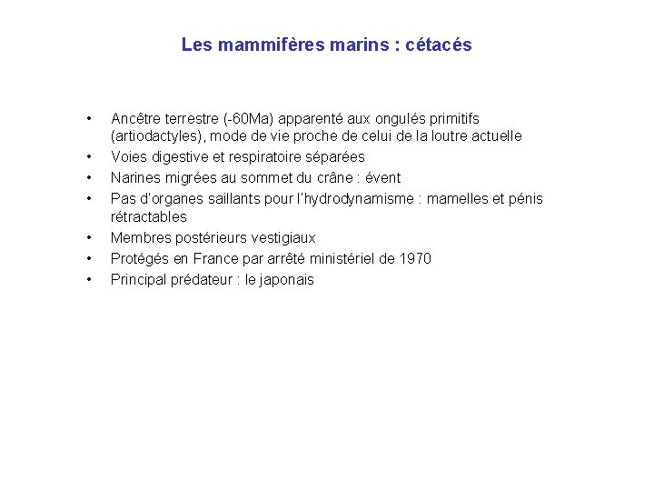 Les mammifères marins : cétacés • • Ancêtre terrestre (-60 Ma) apparenté aux ongulés