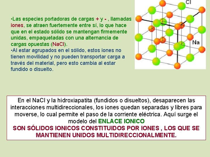  • Las especies portadoras de cargas + y - , llamadas iones, se