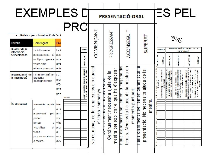 EXEMPLES DE RÚBRIQUES PEL PROFESSOR/A 