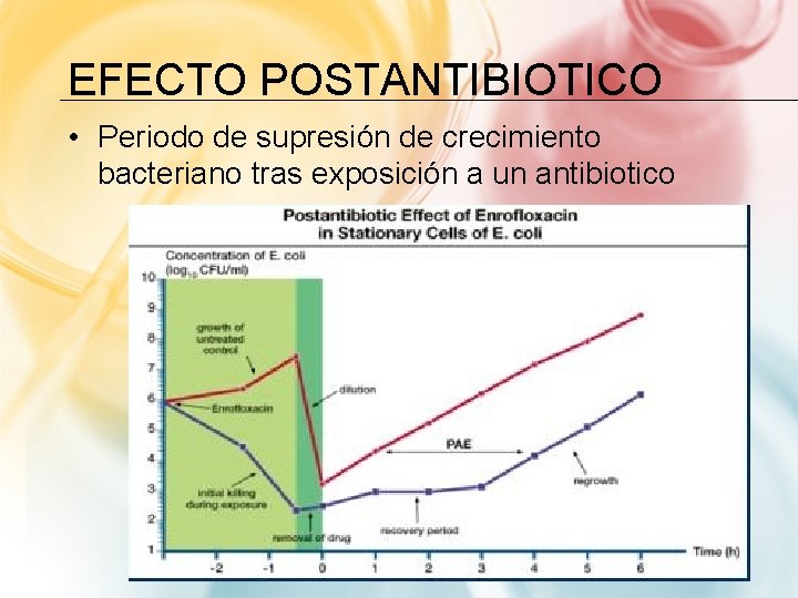 EFECTO POSTANTIBIOTICO • Periodo de supresión de crecimiento bacteriano tras exposición a un antibiotico