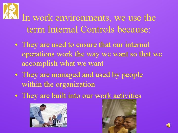 In work environments, we use the term Internal Controls because: • They are used