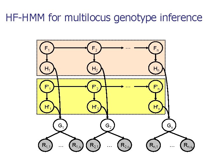 HF-HMM for multilocus genotype inference F 1 F 2 H 1 H 2 F'1