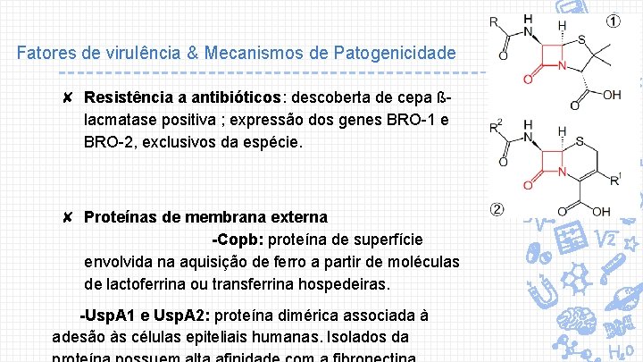 Fatores de virulência & Mecanismos de Patogenicidade ✘ Resistência a antibióticos: descoberta de cepa