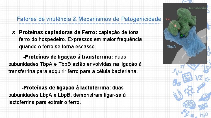 Fatores de virulência & Mecanismos de Patogenicidade ✘ Proteínas captadoras de Ferro: captação de