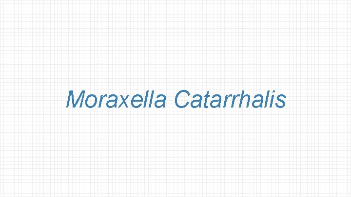 Moraxella Catarrhalis 