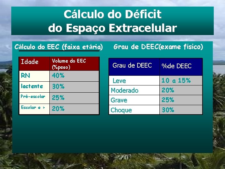 Cálculo do Déficit do Espaço Extracelular Cálculo do EEC (faixa etária) Idade Volume do