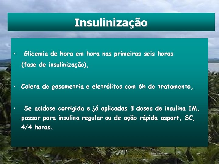 Insulinização • Glicemia de hora em hora nas primeiras seis horas (fase de insulinização),