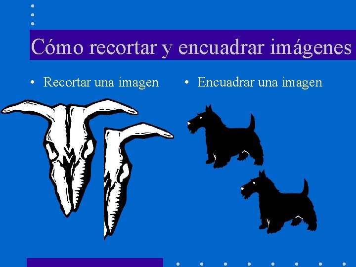 Cómo recortar y encuadrar imágenes • Recortar una imagen • Encuadrar una imagen 