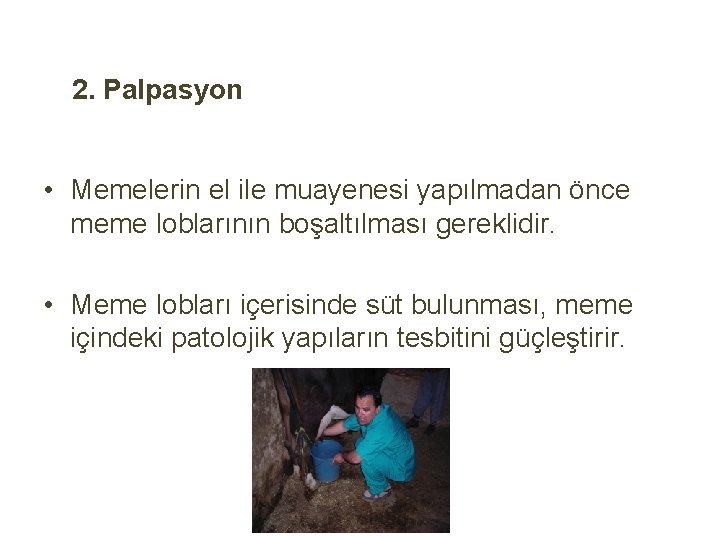 2. Palpasyon • Memelerin el ile muayenesi yapılmadan önce meme loblarının boşaltılması gereklidir. •