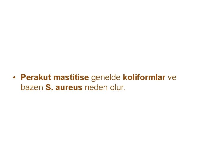  • Perakut mastitise genelde koliformlar ve bazen S. aureus neden olur. 