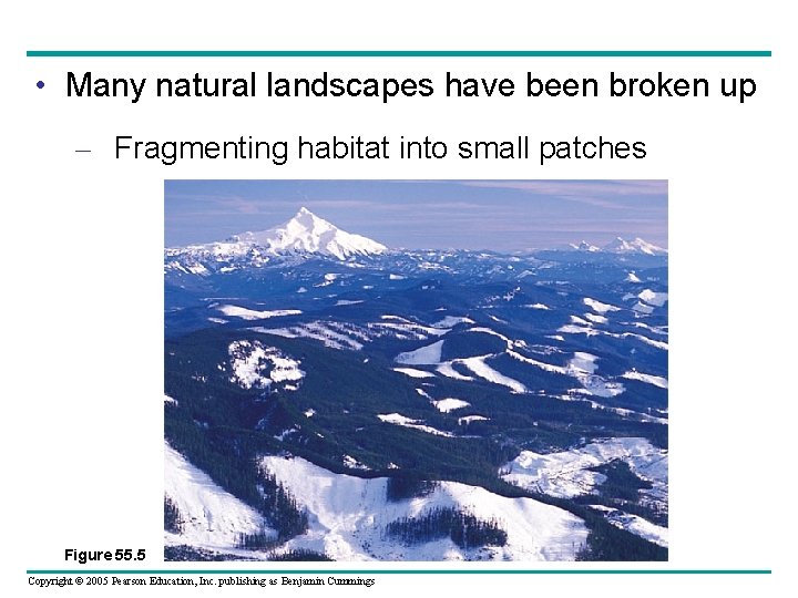  • Many natural landscapes have been broken up – Fragmenting habitat into small