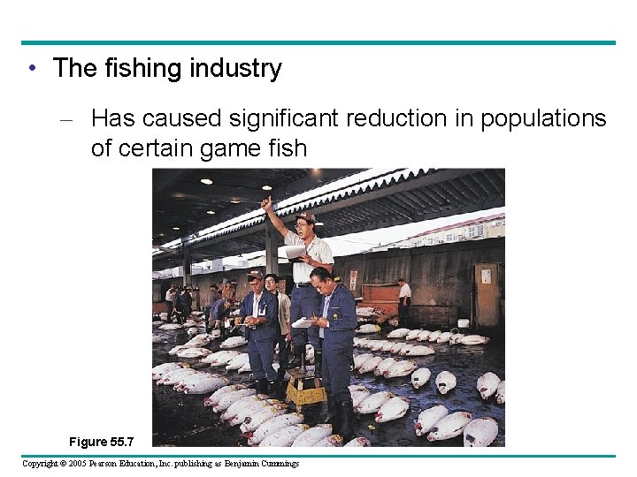  • The fishing industry – Has caused significant reduction in populations of certain