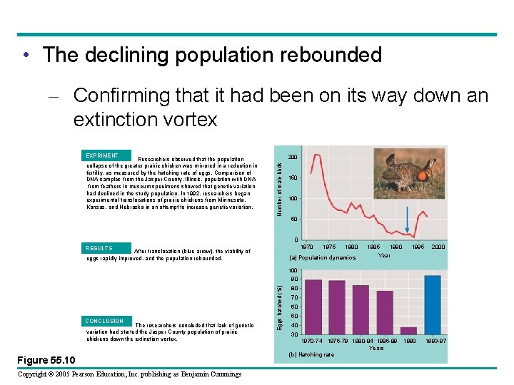 • The declining population rebounded – Confirming that it had been on its
