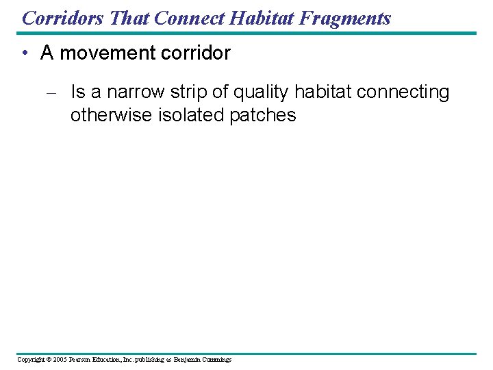 Corridors That Connect Habitat Fragments • A movement corridor – Is a narrow strip