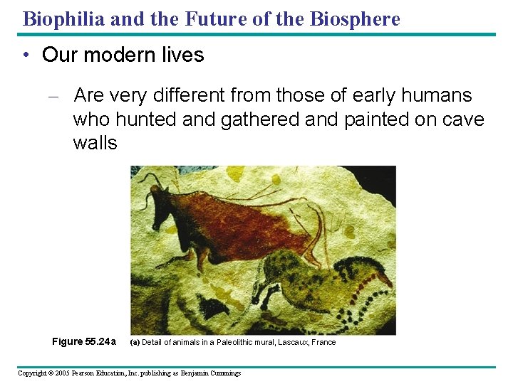 Biophilia and the Future of the Biosphere • Our modern lives – Are very