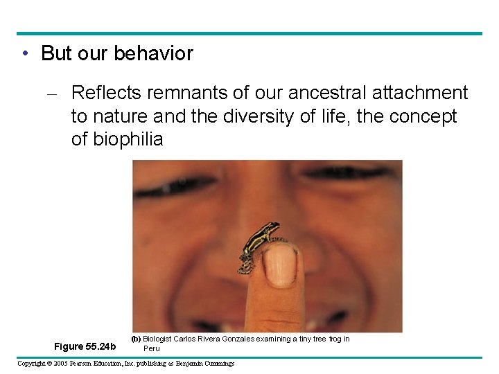  • But our behavior – Reflects remnants of our ancestral attachment to nature
