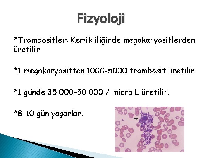 Fizyoloji *Trombositler: Kemik iliğinde megakaryositlerden üretilir *1 megakaryositten 1000 -5000 trombosit üretilir. *1 günde