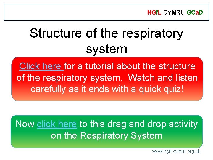 NGf. L CYMRU GCa. D Structure of the respiratory system Click here for a