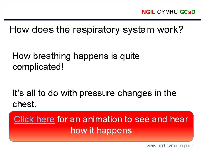NGf. L CYMRU GCa. D How does the respiratory system work? How breathing happens