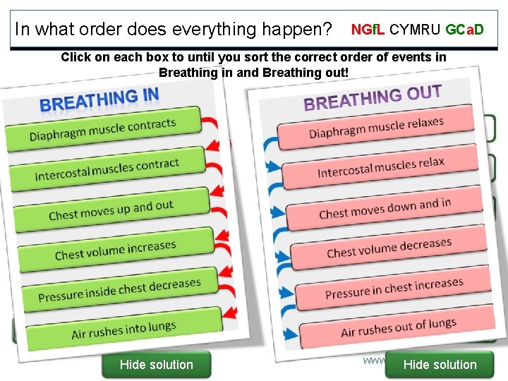In what order does everything happen? NGf. L CYMRU GCa. D Click on each