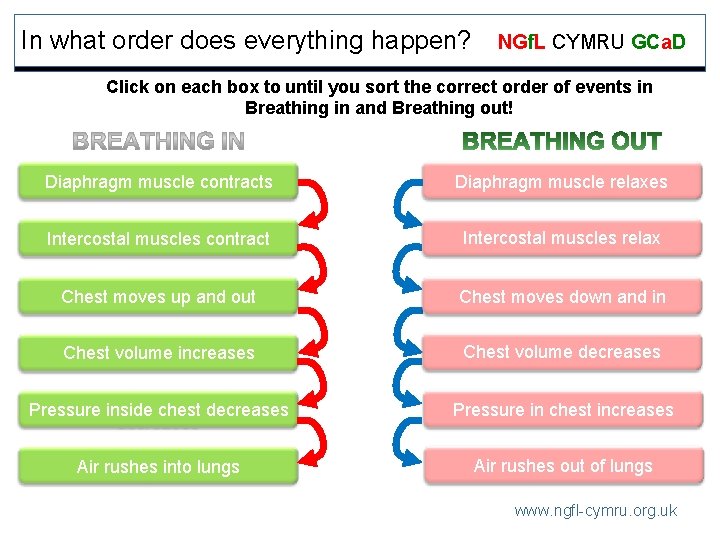 In what order does everything happen? NGf. L CYMRU GCa. D Click on each