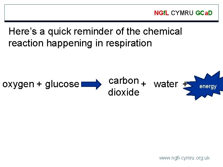 NGf. L CYMRU GCa. D Here’s a quick reminder of the chemical reaction happening
