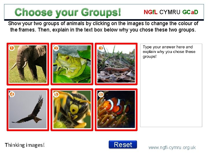Choose your Groups! NGf. L CYMRU GCa. D Show your two groups of animals