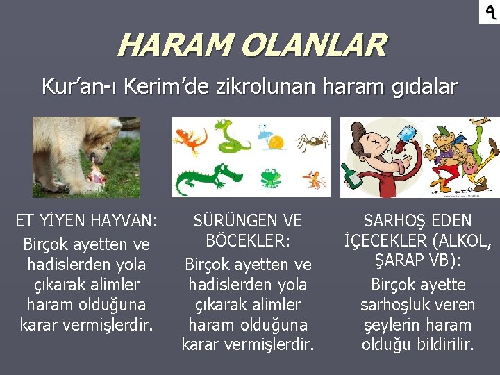 HARAM OLANLAR Kur’an-ı Kerim’de zikrolunan haram gıdalar ET YİYEN HAYVAN: Birçok ayetten ve hadislerden