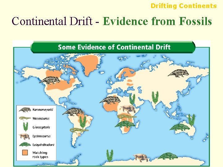 Drifting Continents Continental Drift - Evidence from Fossils Drifting Continents Continental Drift - Evidence from Fossils