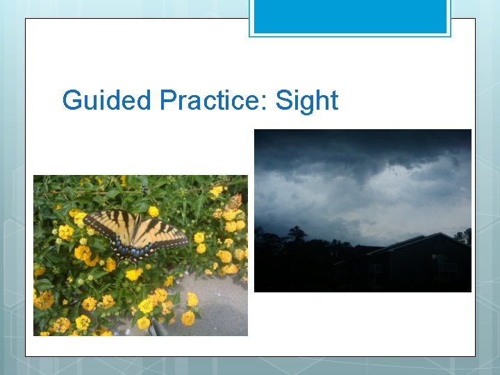Guided Practice: Sight 