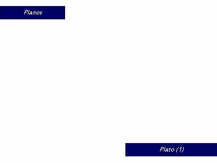 Planos Plato (1) 