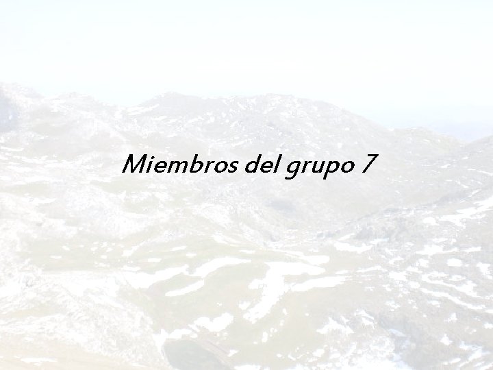 Miembros del grupo 7 