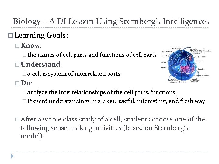 Biology – A DI Lesson Using Sternberg’s Intelligences � Learning Goals: � Know: �