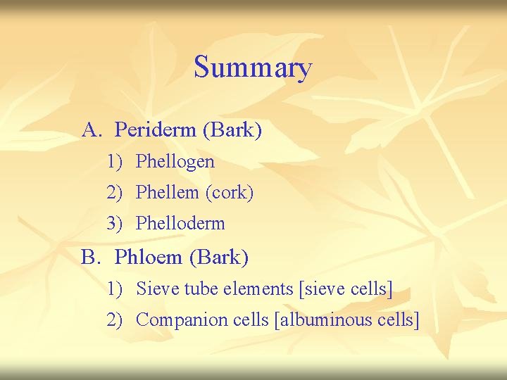 Summary A. Periderm (Bark) 1) Phellogen 2) Phellem (cork) 3) Phelloderm B. Phloem (Bark)
