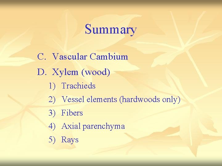 Summary C. Vascular Cambium D. Xylem (wood) 1) Trachieds 2) Vessel elements (hardwoods only)