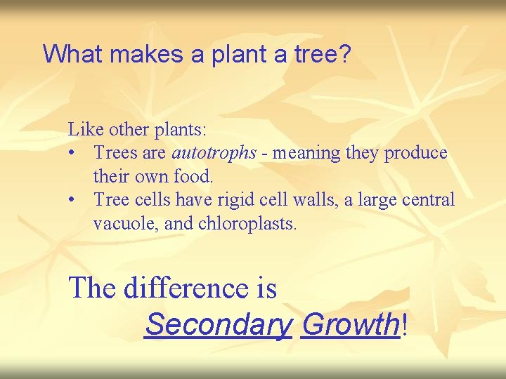 Tree Biology By Dr Ed Gilman and Scott