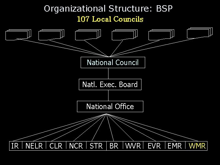 Organizational Structure: BSP 107 Local Councils National Council Natl. Exec. Board National Office IR Organizational Structure: BSP 107 Local Councils National Council Natl. Exec. Board National Office IR