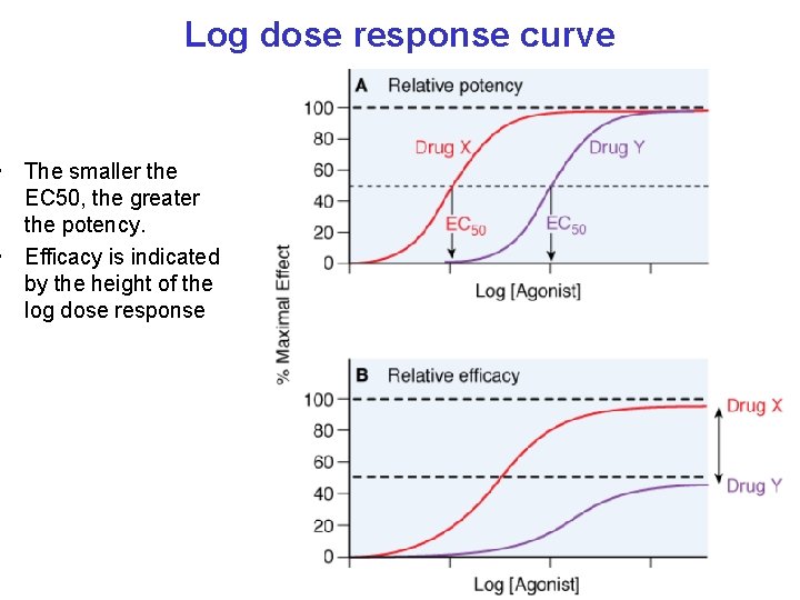 Log dose response curve • The smaller the EC 50, the greater the potency.