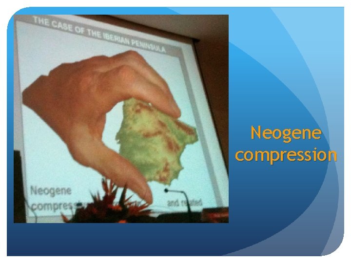 Neogene compression 