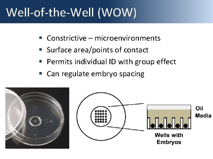 Well-of-the-Well (WOW) § § Constrictive – microenvironments Surface area/points of contact Permits individual ID