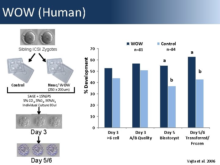 WOW (Human) 70 Control Nunc/ WOW (250 x 200 um) SAGE + 15%SPS 5%