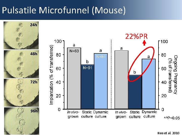 Pulsatile Microfunnel (Mouse) 24 h 22%PR 48 h 72 h 96 h Heo et