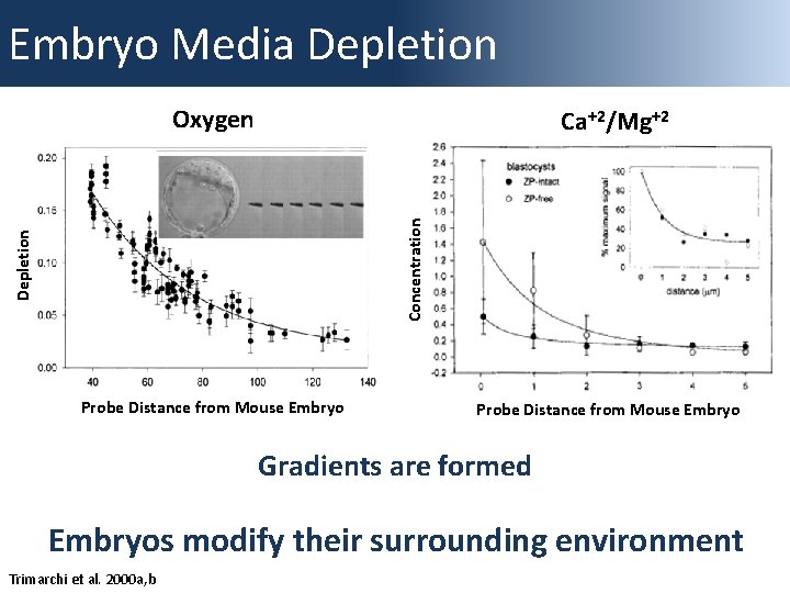 Embryo Media Depletion Oxygen Depletion Concentration Calcium Concentration Ca+2/Mg+2 Probe Distance from Mouse Embryo